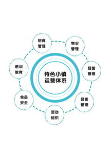 專訪光合文化創(chuàng)意集團董事長趙興朋 特色小鎮(zhèn)是個有機生命體，數(shù)字文化創(chuàng)意內(nèi)容的應(yīng)用與服務(wù)